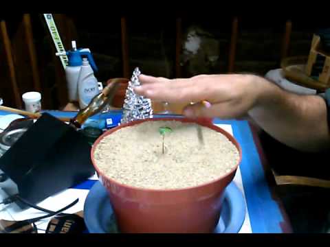 how to cure fungus gnats