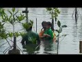 Taman wisata angke