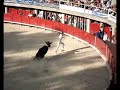 festival du troph� du muscat
