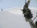 Snowboard BEST extreme