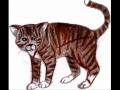 tigerclawfirepawravenpawgraypawbluestar-slideshows.html