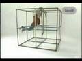 Hyperactive!  -  Thomas Dolby  (HQ Audio)