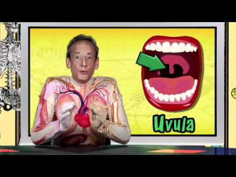 how to relieve uvulitis