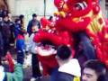 Year of The Pig