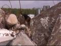 videos de 28.09.08 part-2, Red.wmv