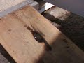 Burn Honda Dio modifier Burn Honda Dio modifier