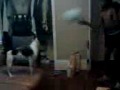 avron plays ball with frenchy