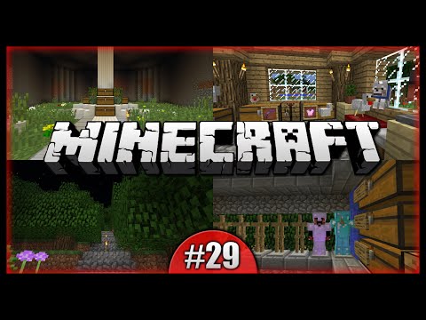 how to run python patch