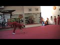 Jumping - Masters and Senior Wushu Team