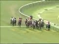 2006 Yasuda Kinen - Bullish Luck 2006 Yasuda Kinen - Bullish Luck