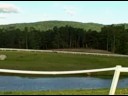 Jul 10 2008 - VID00016 Fitz Just Right- Goodwin Farm Jul 10 2008 - VID00016 Fitz Just Right- Goodwin Farm