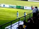 CDESTARREJA vs GAFANHOTOS