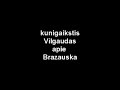 kunigaikstis vilgaudas