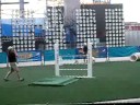 Dog Show III