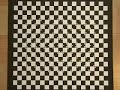 Optical Illusion: Check Your Brain!