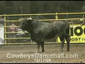 10/17/08 Sec.1 Cowboys Dancehall Bull Riding