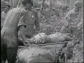 Corpsmen wounded Cape Gloucester Bougainville
