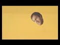 Het Zesde Metaal - Keuning van de jacht