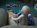 Toddler and Pit Bull watch Bob The Builder