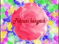 remzije murati-potpuri këngësh