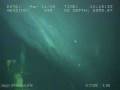 Inquisitive Sperm Whale spooks and ROV