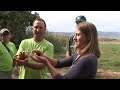 Eco-tourism in the Galilee