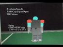 RoboCup JapanOpen2007 Soccer Sim 3D: TsubameGaeshi