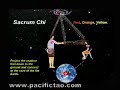 Mantak Chia DVD Cosmic Healing III Clip 1