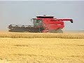 Case IH p� Youtube