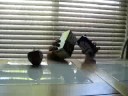Calm-a-sutra Tea video scholorship