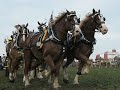 6 Horse Hitches, all different