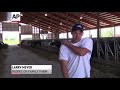 Dairy farmers use chiropractors to keep cows comfortable in attempt to boost milk output. (May 29)