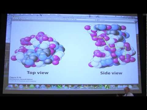 how to eliminate rna from dna