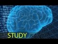 3 Hour Focus Concentrate: Study Music, Focus Music, Alpha Binaural Waves ☯343 3 Hour Focus Concentrate: Study Music, Focus Music, Alpha Binaural Waves ☯343
