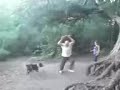 Alfie swing