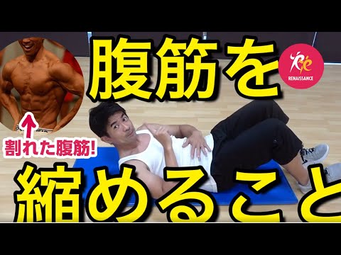 YouTube動画