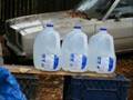 shooting milk jugs
