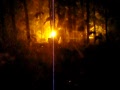 TBS FEX III Night Attack