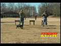Introduce Your Dog to Gunfire Introduce Your Dog to Gunfire