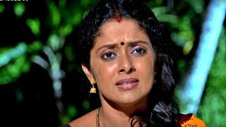 Sthreepadham August 11,2016 Epi 85 TV Serial