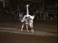 berber extravaganza the best show in morocco