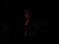 Thumbnail #1