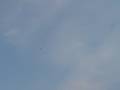 Hanger 9 Fokker DVII second flight