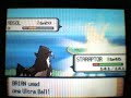 Shiny Absol (2) With Poke Radar + Shiny Patch Shiny Absol (2) With Poke Radar + Shiny Patch