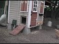 The Automatic Chicken Door