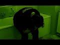 video zu dem lied wir leben von eisheilig.
schauspieler: lisa otto

regie/schnitt/vfx: david peichl

statisten:
katrin mayer, janina steck, doro strau�, brigitte krug-oberlader, anika kramer, merve sadi, jens geiselmann, christina fuchs, stefanie schmidt, gamze sirin, anna rehm, ramona weimer

dank an: anna zimmermann, theater ag sontheim

musik: wir leben von eisheilig