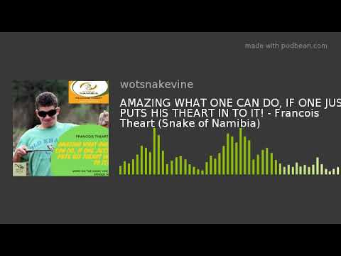 YouTube reptile video
