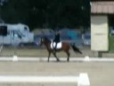 CCE Lamotte 2008 - Dressage ponam B2 excelence