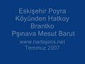 Eskişehir Poyra Mızıka Pşınava Brantko Mesut Nartajans.net