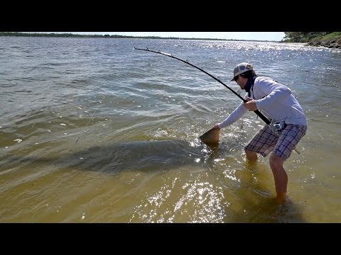 Watch This Dude Catch A 17-Foot, 700-Pound Sawfish